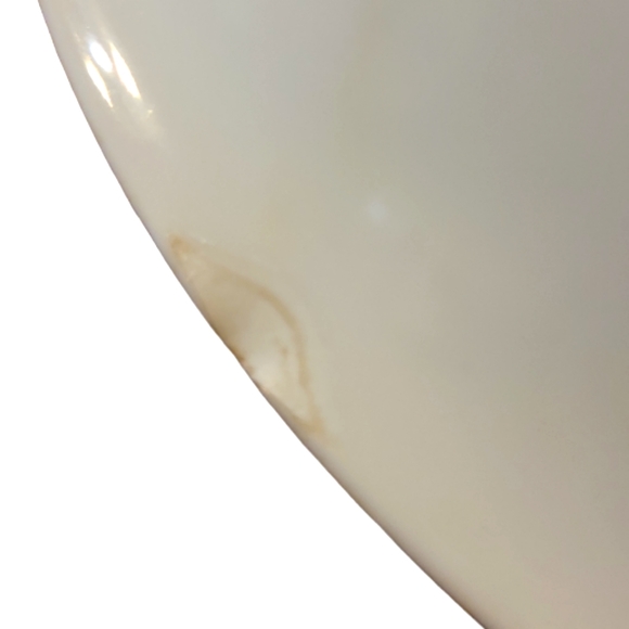 Vtg 1880-1918 ROYAL MUNICH Z.S.& CO BAVARIA SERVING BOWL PORCELAIN HAND PAINTED - Picture 3 of 6